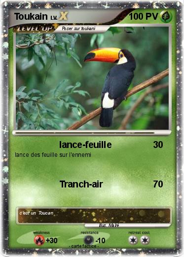 Pokemon Toukain