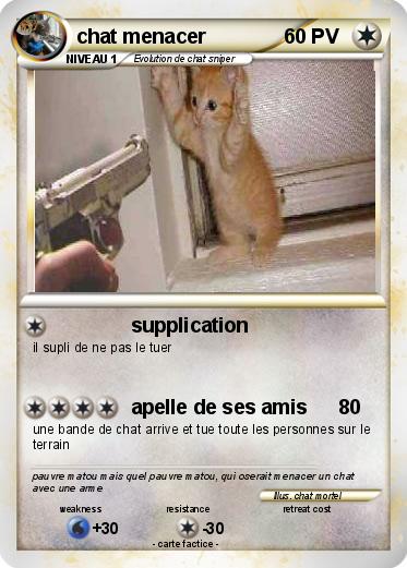 Pokemon chat menacer