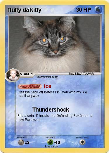 Pokemon fluffy da kitty
