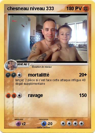 Pokemon chesneau niveau 333