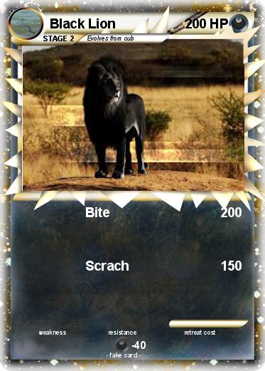 Pokemon Black Lion