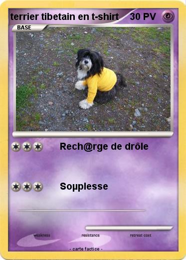 Pokemon terrier tibetain en t-shirt