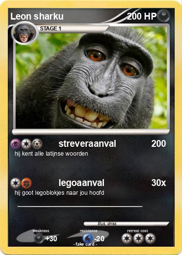 Pokemon Leon sharku