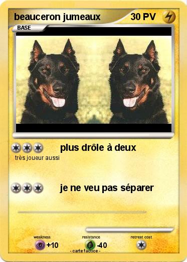 Pokemon beauceron jumeaux