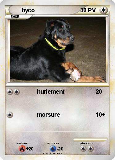 Pokemon hyco