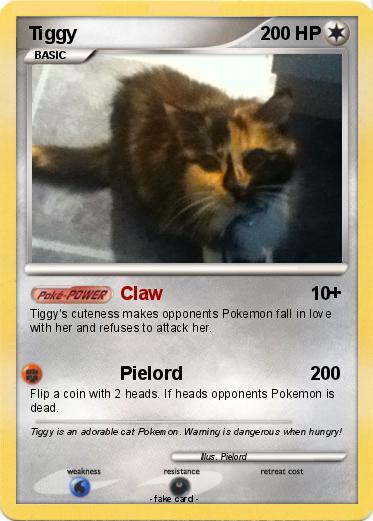 Pokemon Tiggy
