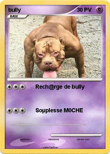 Pokemon bully