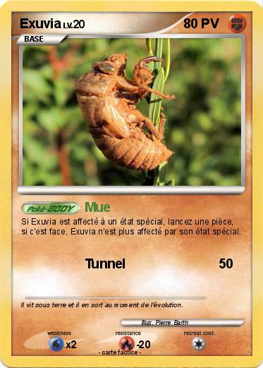 Pokemon Exuvia
