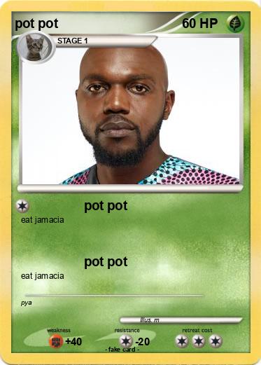 Pokemon pot pot