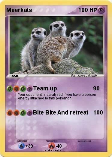 Pokemon Meerkats