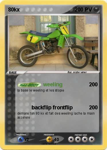Pokemon 80kx