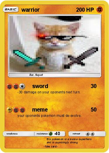Pokemon warrior
