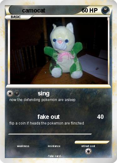 Pokemon camocat