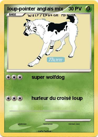 Pokemon loup-pointer anglais mix