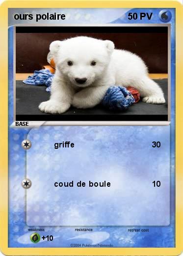 Pokemon ours polaire