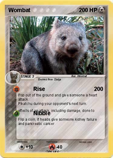 Pokemon Wombat