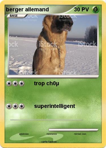 Pokemon berger allemand