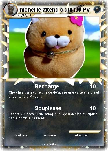 Pokemon michel le attend c qui lui