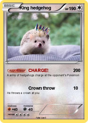 Pokemon King hedgehog