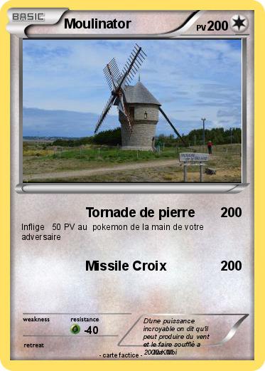 Pokemon Moulinator