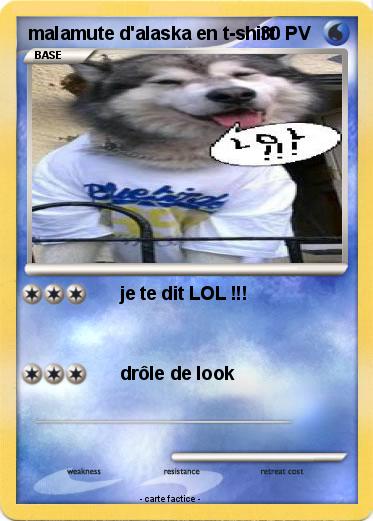 Pokemon malamute d'alaska en t-shirt