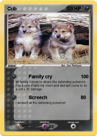 Pokemon Cub