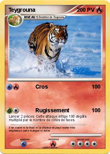 Pokemon Teygrouna