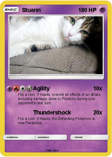 Pokemon Stuann
