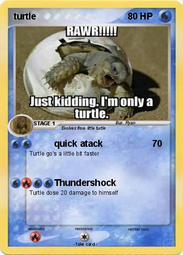Pokemon turtle