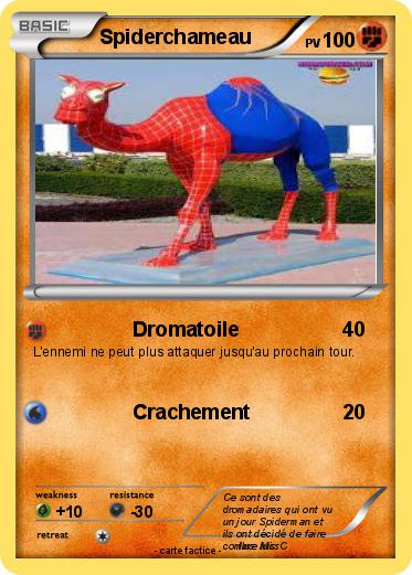 Pokemon Spiderchameau