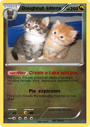 Pokemon Doughnut  kittens