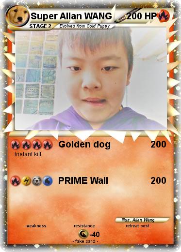 Pokemon Super Allan WANG