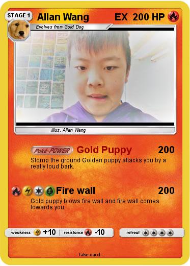 Pokemon Allan Wang          EX