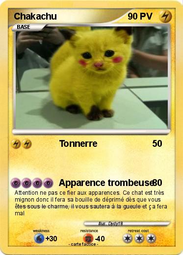 Pokemon Chakachu