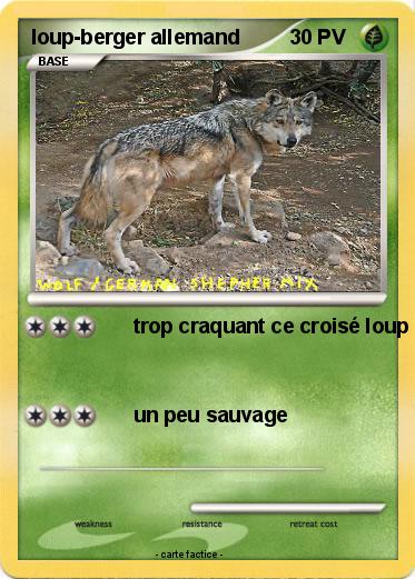 Pokemon loup-berger allemand