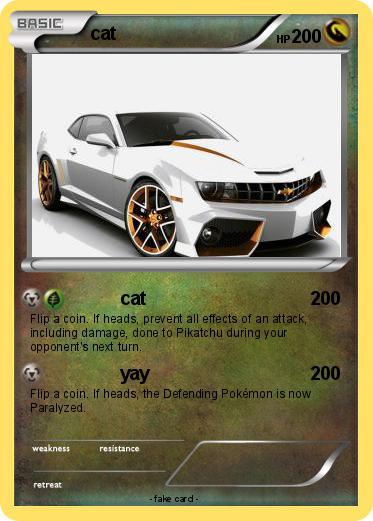 Pokemon cat