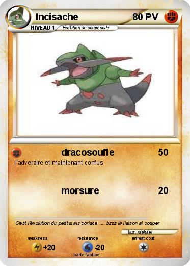 Pokemon Incisache