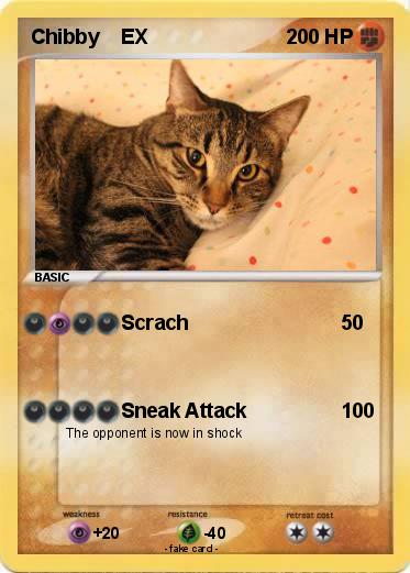 Pokemon Chibby    EX