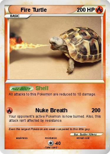 Pokemon Fire Turtle