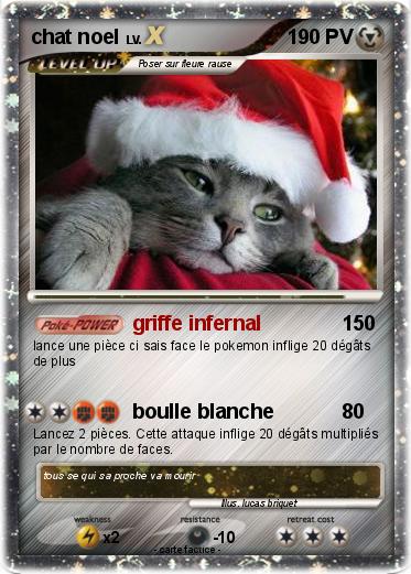 Pokemon chat noel