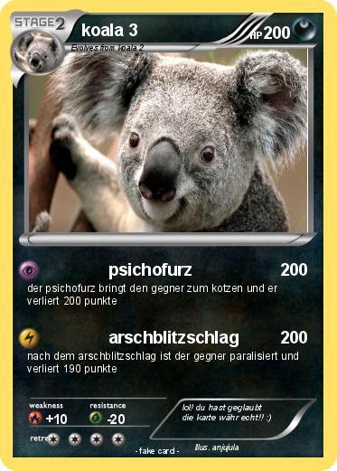 Pokemon koala 3