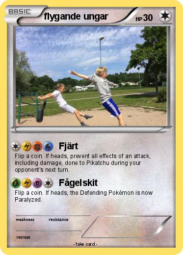 Pokemon flygande ungar