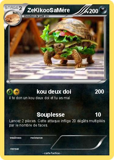 Pokemon ZeKikooSaMére