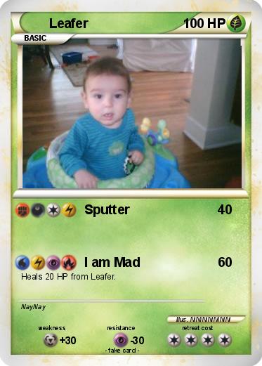 Pokemon Leafer