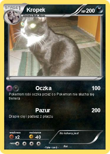 Pokemon Kropek