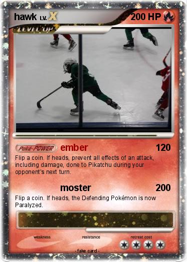 Pokemon hawk