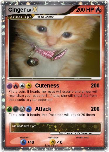 Pokemon Ginger