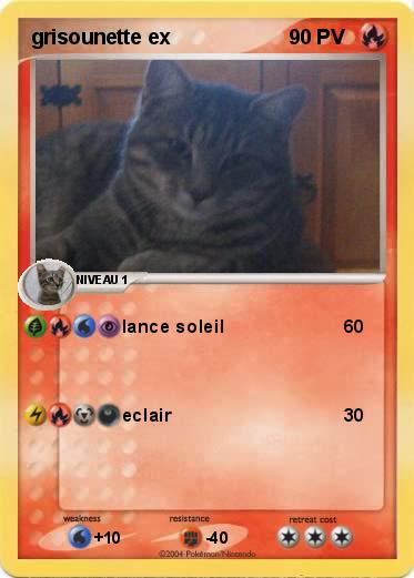 Pokemon grisounette ex