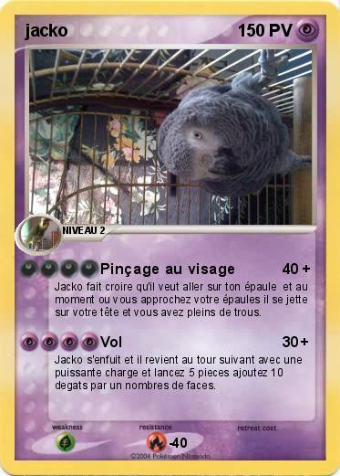 Pokemon jacko                                     