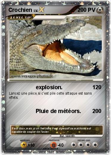 Pokemon Crochien